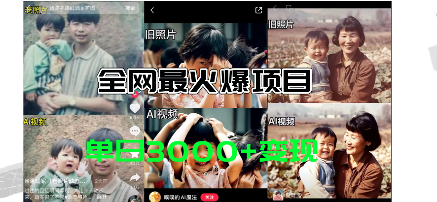 （11546期）全网爆火的AI让老照片动起来教程，蹭热点日赚3000+，内含免费工具一键…-阳明聊项目