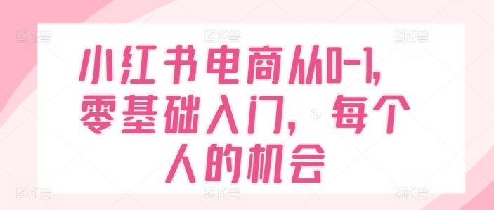 小红书电商从0-1，零基础入门，每个人的机会-阳明聊项目