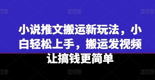 小说推文搬运新玩法，小白轻松上手，搬运发视频让搞钱更简单-阳明聊项目