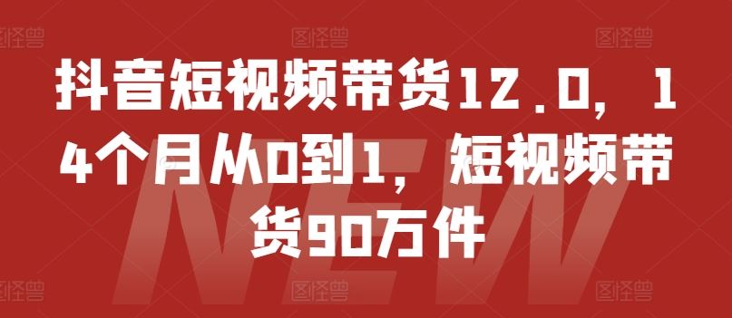 抖音短视频带货12.0，14个月从0到1，短视频带货90万件-阳明聊项目