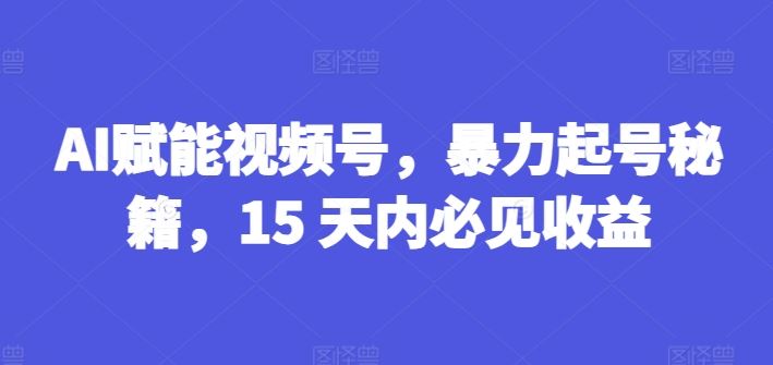 AI赋能视频号，暴力起号秘籍，15 天内必见收益【揭秘】-阳明聊项目