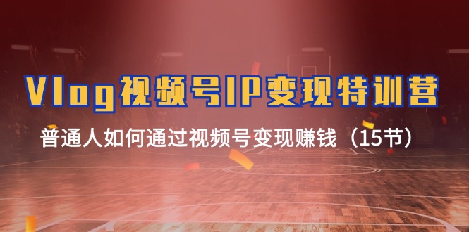 (11654期)Vlog 视频号IP变现特训营,普通人如何通过视频号变现赚钱(15节)-阳明聊项目