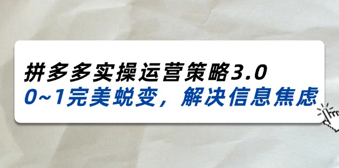 （11658期）2024_2025拼多多实操运营策略3.0，0~1完美蜕变，解决信息焦虑（38节）-阳明聊项目