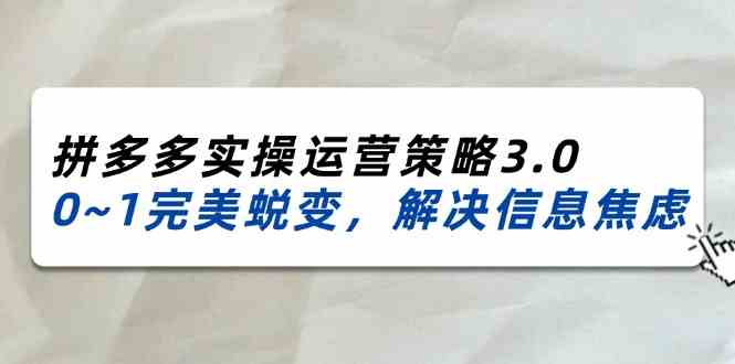 2024-2025拼多多实操运营策略3.0，0~1完美蜕变，解决信息焦虑（38节）-阳明聊项目