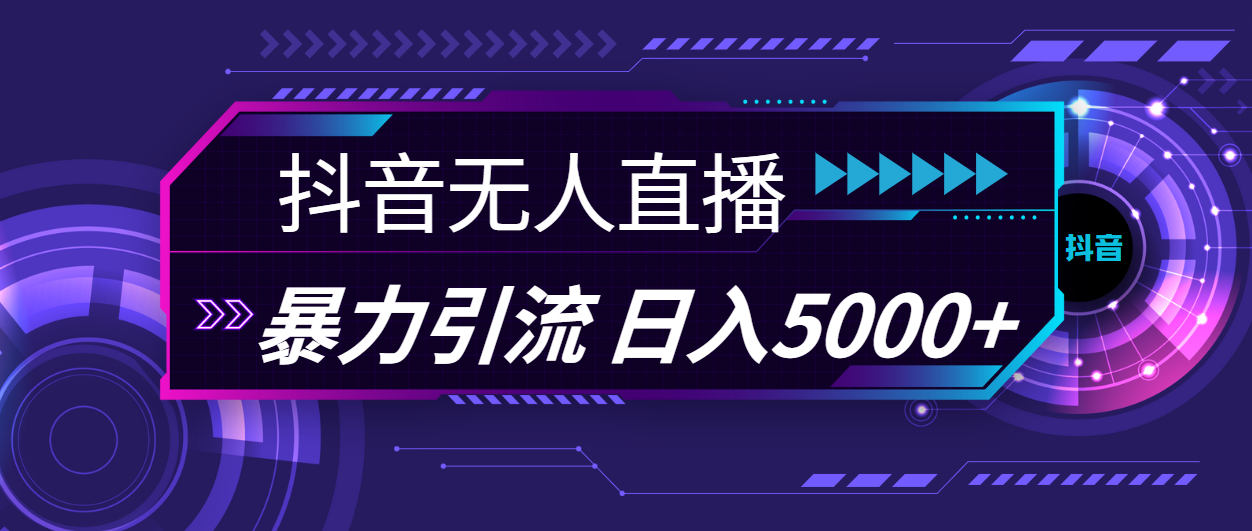 （11709期）抖音无人直播，暴利引流，日入5000+-阳明聊项目