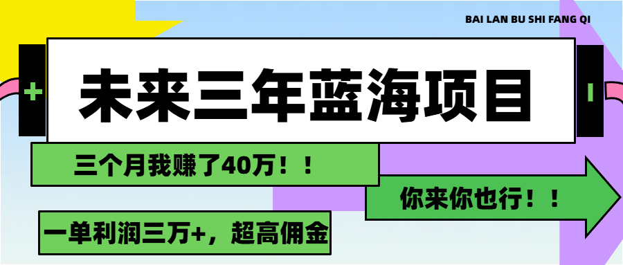 (11716期)未来三年,蓝海赛道,月入3万+-阳明聊项目
