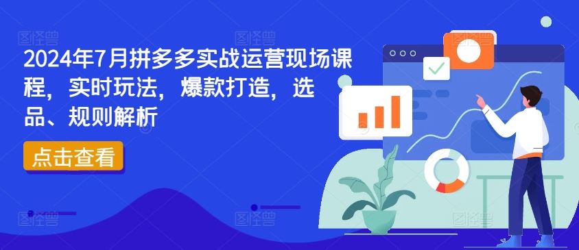 2024年7月拼多多实战运营现场课程,实时玩法,爆款打造,选品、规则解析-阳明聊项目