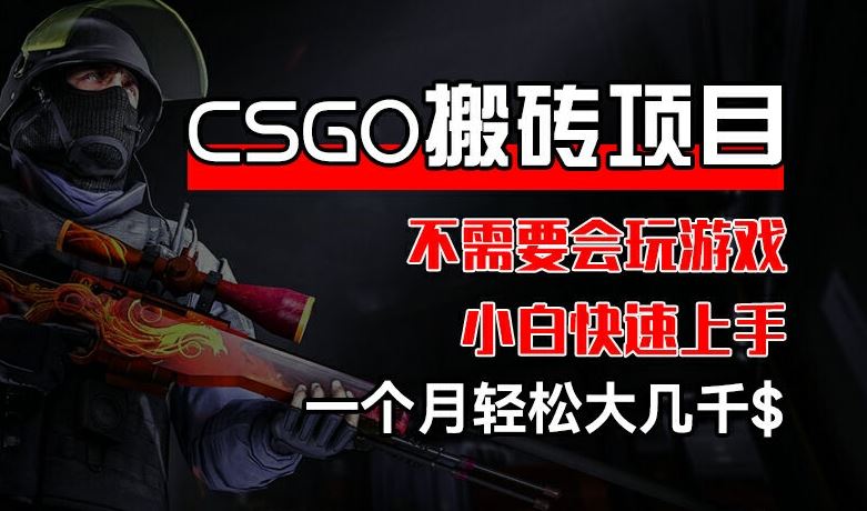 CSGO 装备搬砖项目,操作简单,不需要会玩游戏,小白也能快速上手,一个月轻松大几千【揭秘】-阳明聊项目