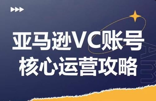 亚马逊VC账号核心玩法解析，实战经验拆解产品模块运营技巧，提升店铺GMV，有效提升运营利润-阳明聊项目