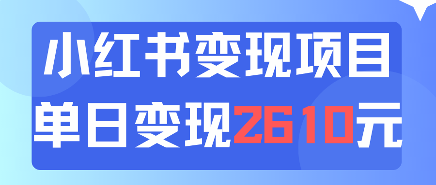 (11885期)利用小红书卖资料单日引流150人当日变现2610元小白可实操(教程+资料)-阳明聊项目