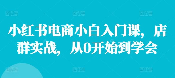 小红书电商小白入门课，店群实战，从0开始到学会-阳明聊项目