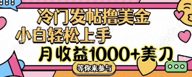 冷门发帖撸美金项目，月收益1000+美金，简单无脑，干就完了【揭秘】-阳明聊项目