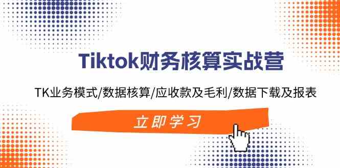 Tiktok财务核算实战营：TK业务模式/数据核算/应收款及毛利/数据下载及报表-阳明聊项目