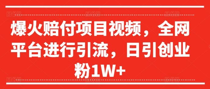 爆火赔付项目视频,全网平台进行引流,日引创业粉1W+【揭秘】-阳明聊项目