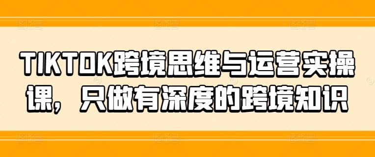 TIKTOK跨境思维与运营实操课，只做有深度的跨境知识-阳明聊项目