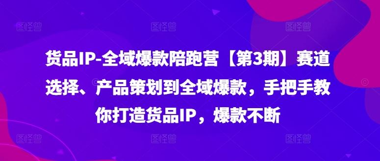 货品IP全域爆款陪跑营【第3期】赛道选择、产品策划到全域爆款,手把手教你打造货品IP,爆款不断-阳明聊项目