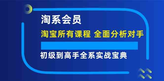 淘系会员初级到高手全系实战宝典【淘宝所有课程，全面分析对手】-阳明聊项目
