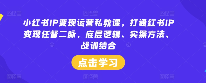 小红书IP变现运营私教课，打通红书IP变现任督二脉，底层逻辑、实操方法、战训结合-阳明聊项目
