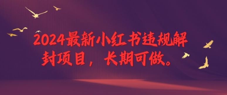 2024最新小红书违规解封项目，长期可做，一个可以做到退休的项目【揭秘】-阳明聊项目