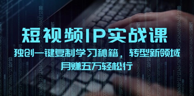 短视频IP实战课，独创一键复制学习秘籍，转战新领域，月赚五万轻松行-阳明聊项目