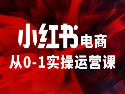小红书电商从0-1实操运营课，让你从小白到精英-阳明聊项目