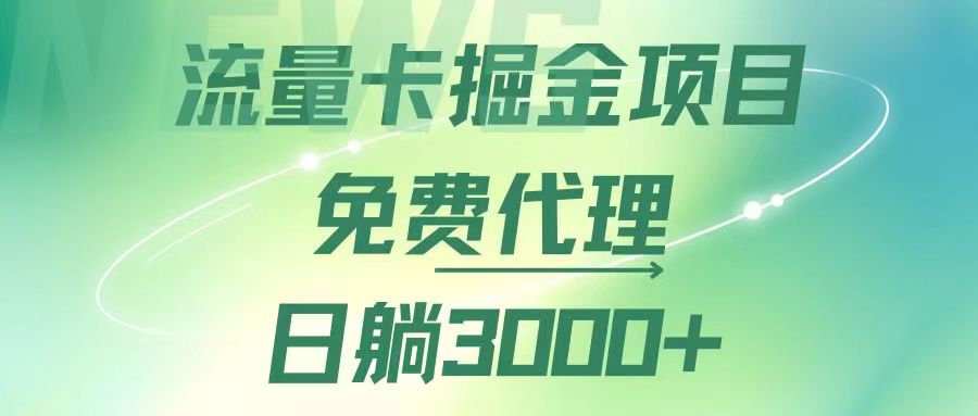 （12321期）流量卡掘金代理，日躺赚3000+，变现暴力，多种推广途径-阳明聊项目