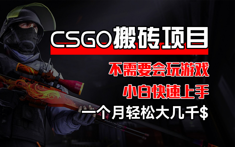 （12332期）CSGO 装备搬砖项目，操作简单，不需要会玩游戏，小白也能快速上手，一…-阳明聊项目