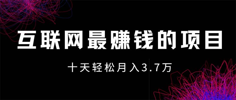 (12396期)互联网最赚钱的项目没有之一,轻松月入7万+,团队最新项目-阳明聊项目