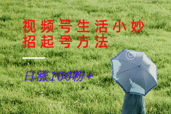 视频号生活小妙招分享赛道， 起号涨粉新方法，日涨100粉-阳明聊项目