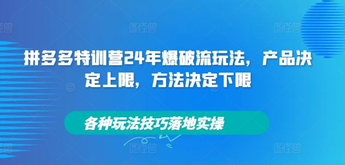 拼多多特训营24年爆破流玩法，产品决定上限，方法决定下限，各种玩法技巧落地实操-阳明聊项目