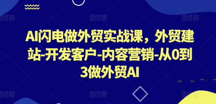 AI闪电做外贸实战课,外贸建站-开发客户-内容营销-从0到3做外贸AI(更新)-阳明聊项目