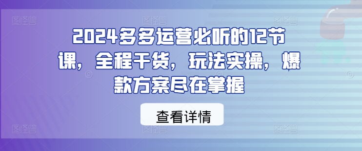 2024多多运营必听的12节课,全程干货,玩法实操,爆款方案尽在掌握-阳明聊项目