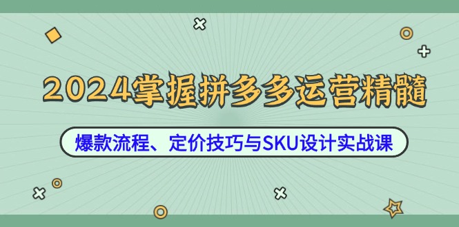 2024掌握拼多多运营精髓：爆款流程、定价技巧与SKU设计实战课-阳明聊项目