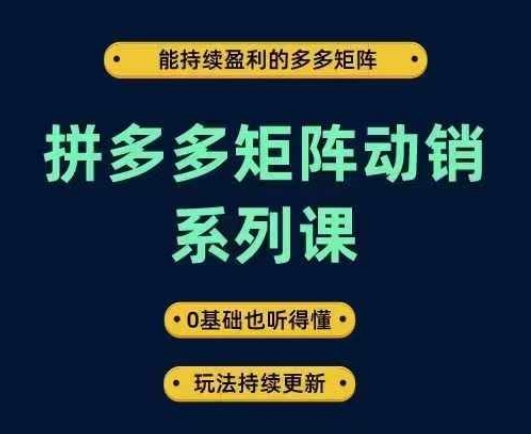 拼多多矩阵动销系列课，能持续盈利的多多矩阵，0基础也听得懂，玩法持续更新-阳明聊项目