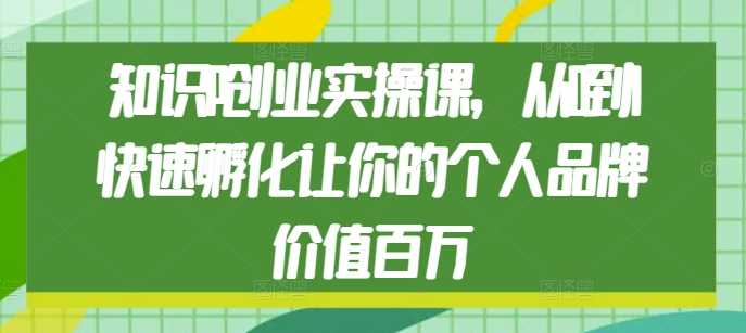 知识IP创业实操课,从0到1快速孵化让你的个人品牌价值百万-阳明聊项目