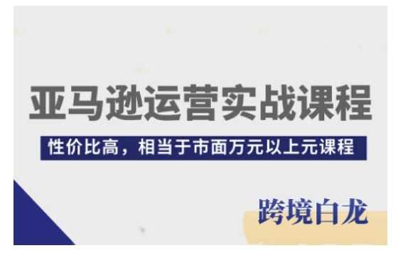 亚马逊运营实战课程，亚马逊从入门到精通，性价比高，相当于市面万元以上元课程-阳明聊项目