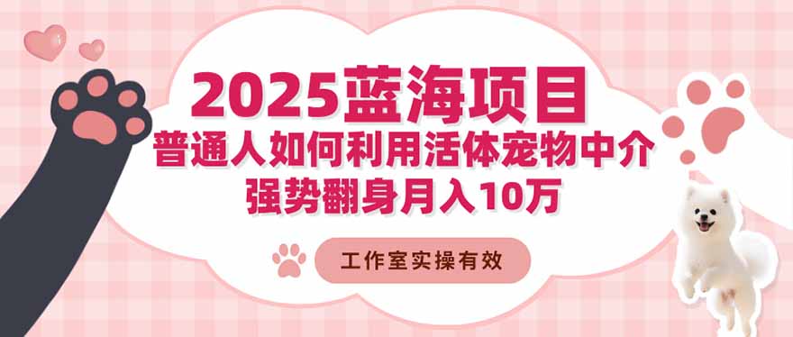 2025蓝海项目：普通人如何利用活体宠物中介，强势翻身月入10万-阳明聊项目