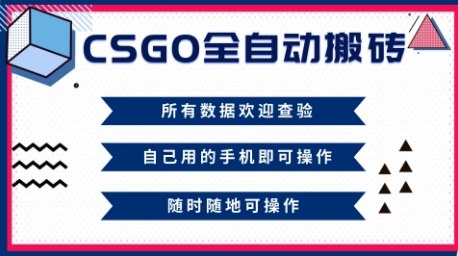 CSGO全自动搬砖，年底钱回家好项目，当天可拿到结果，新手小白轻松月入1W+【揭秘】-阳明聊项目