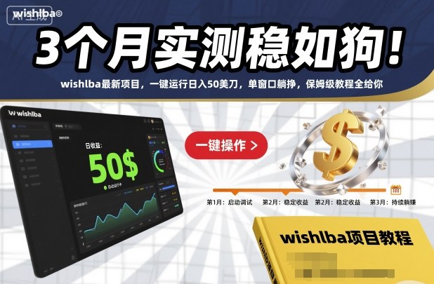 3个月实测稳如狗！wishlba最新项目，一键运行日入50美刀，单窗口躺挣，保姆级教程全给你【揭秘】-阳明聊项目