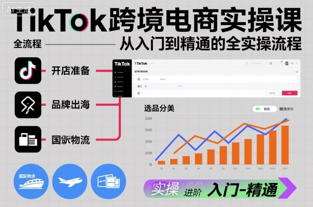TikTok跨境电商实操课，从入门到精通的全实操流程-阳明聊项目