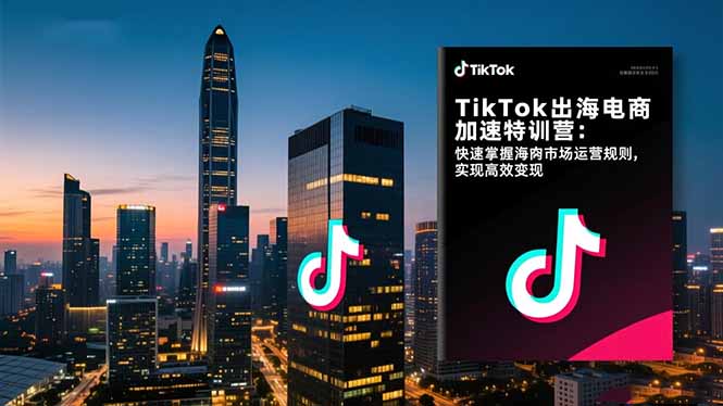 TikTok出海电商加速特训营：快速掌握海外市场运营规则，实现高效变现-阳明聊项目
