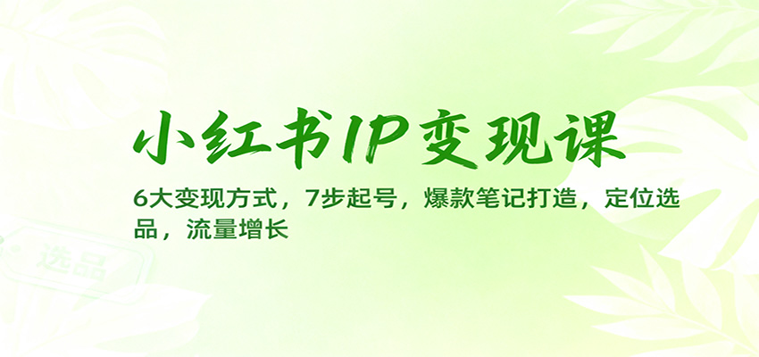 小红书IP变现课:6大变现方式,7步起号,爆款笔记打造,定位选品,流量增长-阳明聊项目
