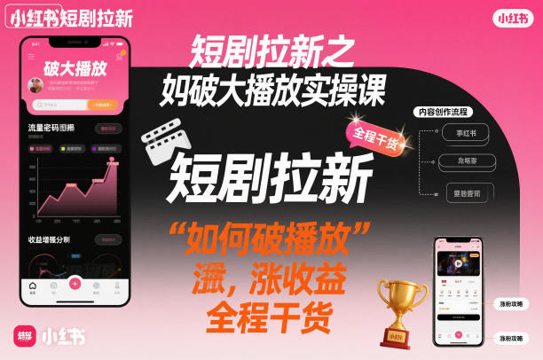 短剧拉新之小红书如何破大播放实操课，如何破播放，涨收益，全程干货-阳明聊项目