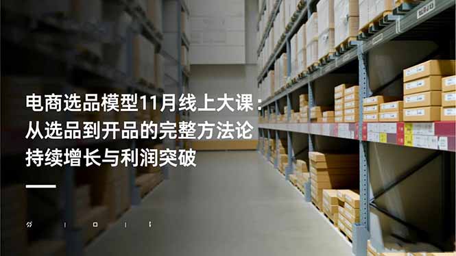 电商选品模型11月线上大课：从选品到开品的完整方法论 持续增长与利润突破-阳明聊项目
