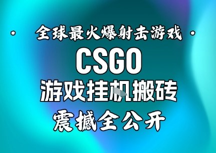 【年底大揭秘】基于全球最火爆的射击CSGO游戏挂G搬砖，日入5张+，震撼公开-阳明聊项目
