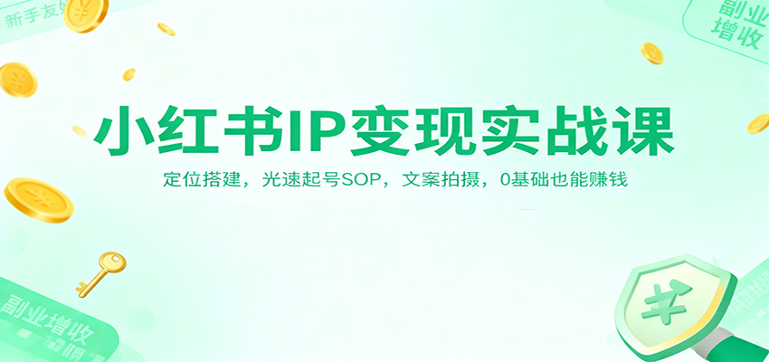 小红书IP变现实战课：定位搭建，光速起号SOP，文案拍摄，0基础也能赚钱-阳明聊项目