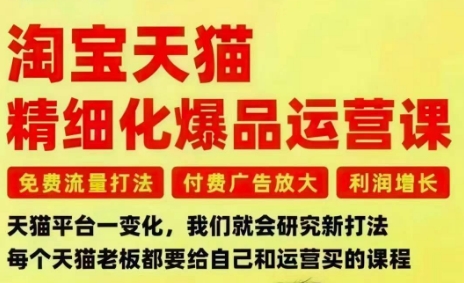 淘宝天猫精细化爆品运营课,免费流量打法-付费广告放大-利润增长-三大核心痛点,一次全部解决-阳明聊项目