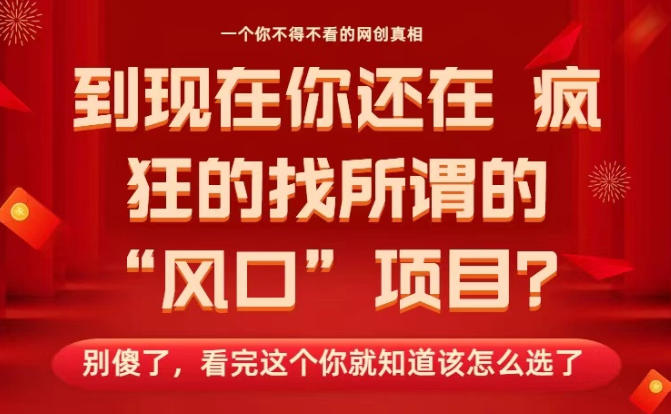 马上26年了，你还在找所谓的风口项目？别傻了，看完这个你全都懂了！【揭秘】-阳明聊项目