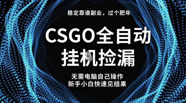 【稳定副业】全球最热门游戏CSGO全自动捡漏，最新玩法，新手小白日入5张+【揭秘】-阳明聊项目