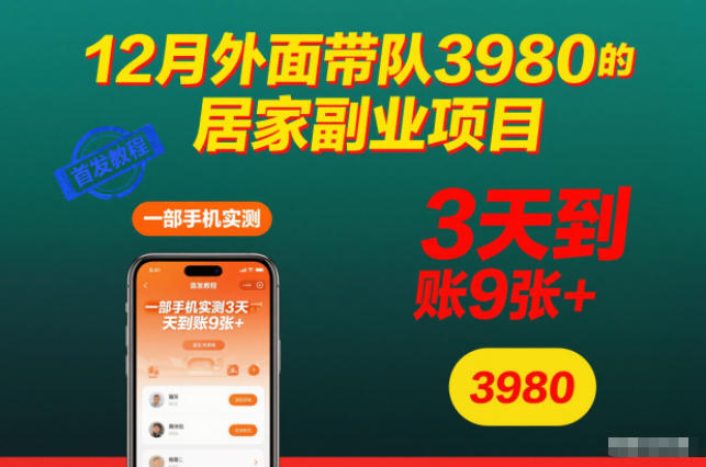 12月外面带队3980的居家副业项目，一部手机实测3天到账9张+，首发教程【揭秘】-阳明聊项目